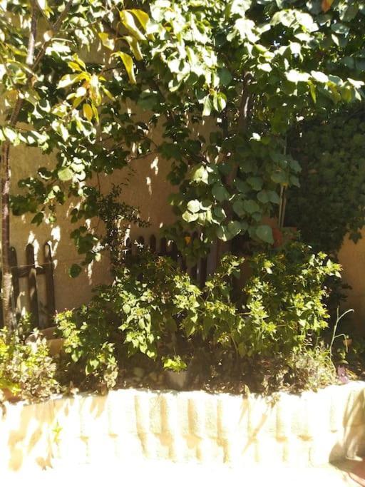 Studio Ideal Pour Deux Voyageurs Sur Marseille Kültér fotó