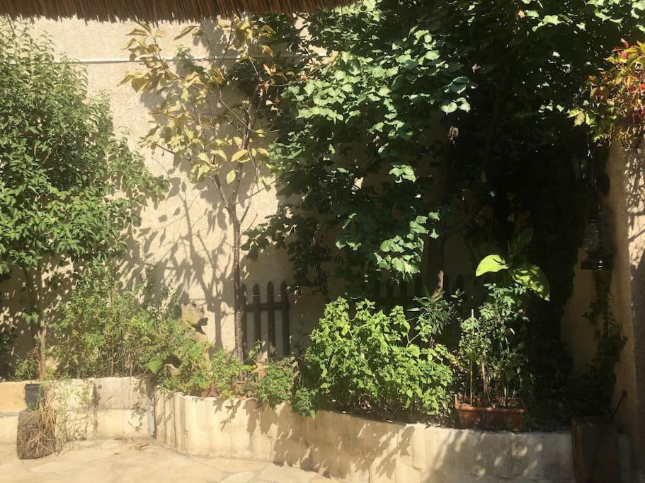 Studio Ideal Pour Deux Voyageurs Sur Marseille Kültér fotó